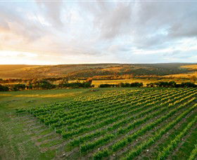 Nazaaray - Darwin Holiday 0