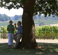 Five Oaks Vineyard - Darwin Holiday