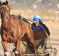 Ballarat  District Trotting Club - Darwin Holiday