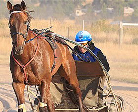 Ballarat & District Trotting Club - Darwin Holiday 0