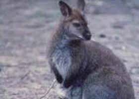 Churchill National Park - Darwin Holiday 0