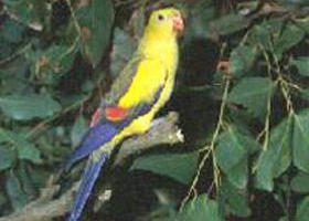 Glenlee VIC Darwin Holiday