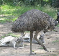 Bundoora Park - Darwin Holiday