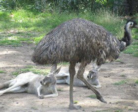 Bundoora Park - Darwin Holiday 0