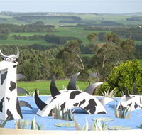 Apostle Whey Cheese - Darwin Holiday