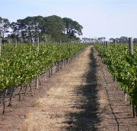 Mount Beckworth Wines - Darwin Holiday