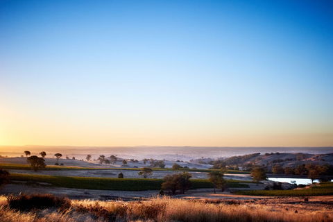 Fowles Wine - Darwin Holiday 0