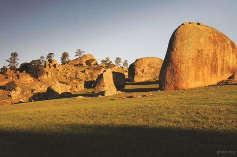 Fowles Wine - Darwin Holiday 3