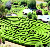 Wandiligong Maze - Darwin Holiday
