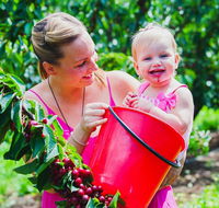Cherryhill Orchards - Darwin Holiday