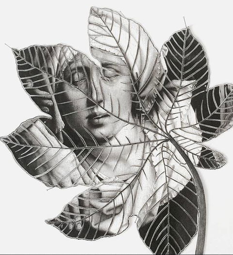 Wollongong Art Gallery - Darwin Holiday 2