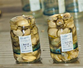 Broadwater Oysters - Darwin Holiday 0