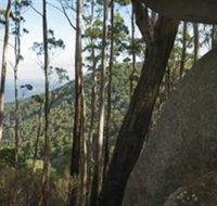 Gulaga National Park - Darwin Holiday