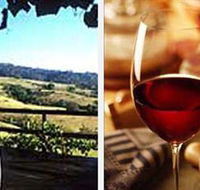 Jasper Valley Wines and Vines Cafe - Darwin Holiday
