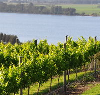 Two Figs Winery - Darwin Holiday