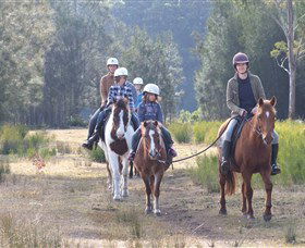 Horse Riding At Oaks Ranch And Country Club - Darwin Holiday 0