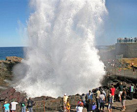 Kiama Blowhole - Darwin Holiday 0