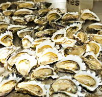 Wheelers Oysters - Darwin Holiday