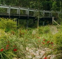 Eurobodalla Botanic Gardens - Darwin Holiday