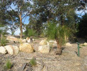 Curtis Park Arboretum - Darwin Holiday 0