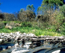 Abrahams Bosom Reserve - Darwin Holiday 0