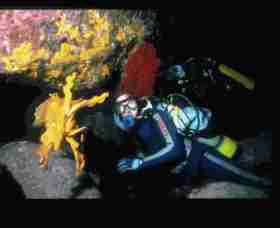 Solitary Islands Marine Park - Darwin Holiday 0