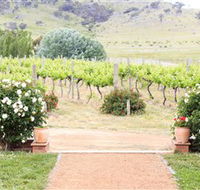 Brindabella Hills Winery - Darwin Holiday