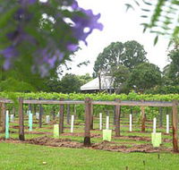 Douglas Vale Historic Homestead  Vineyard - Darwin Holiday