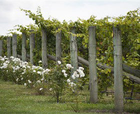 Lambert Vineyards Cellar Door - Darwin Holiday 2