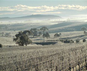Kurrajong Downs Wines Vineyard - Darwin Holiday 1