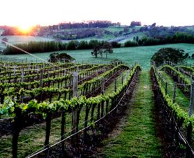 Philip Shaw Wines - Darwin Holiday 1