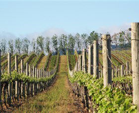 Philip Shaw Wines - Darwin Holiday 0