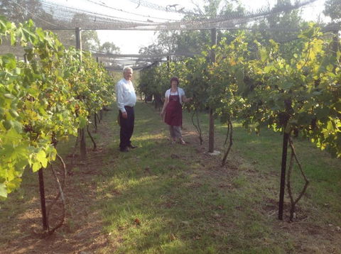 Holland Wines - Darwin Holiday 8