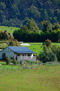 Sinclair Of Scotsburn - Darwin Holiday 1