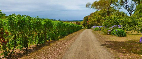 Merricks Estate - Darwin Holiday 1