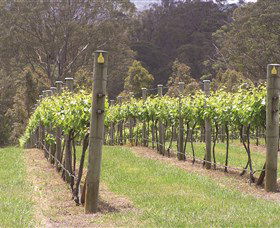Diamond Creek Estate Cellar Door - Darwin Holiday 2