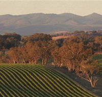 Angullong Wines - Darwin Holiday