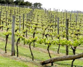 Forest Reefs NSW Darwin Holiday