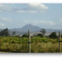 Ironbark Ridge Vineyard - Darwin Holiday