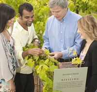 Jacob's Creek Vineyard Tour - Darwin Holiday