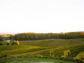 Pike And Joyce Wines - Darwin Holiday 1