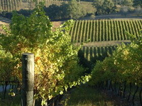 Pike And Joyce Wines - Darwin Holiday 0