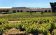 Taylors Wines - thumb 0