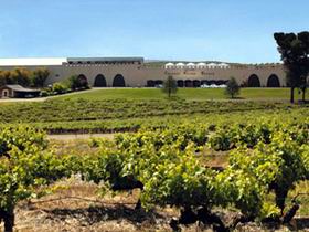 Taylors Wines - Darwin Holiday 0
