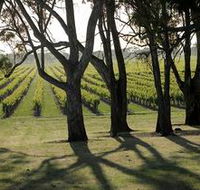 Henry's Drive Vignerons - Darwin Holiday