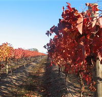 Kooyonga Creek Wines - Darwin Holiday