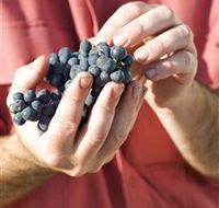 Brown Magpie Wines - Darwin Holiday