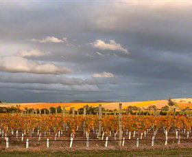 Coombe Yarra Valley - Darwin Holiday 1