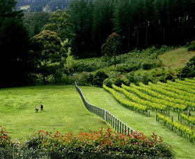 Prancing Horse Estate - Darwin Holiday 2