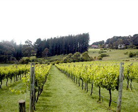 Prancing Horse Estate - Darwin Holiday 3